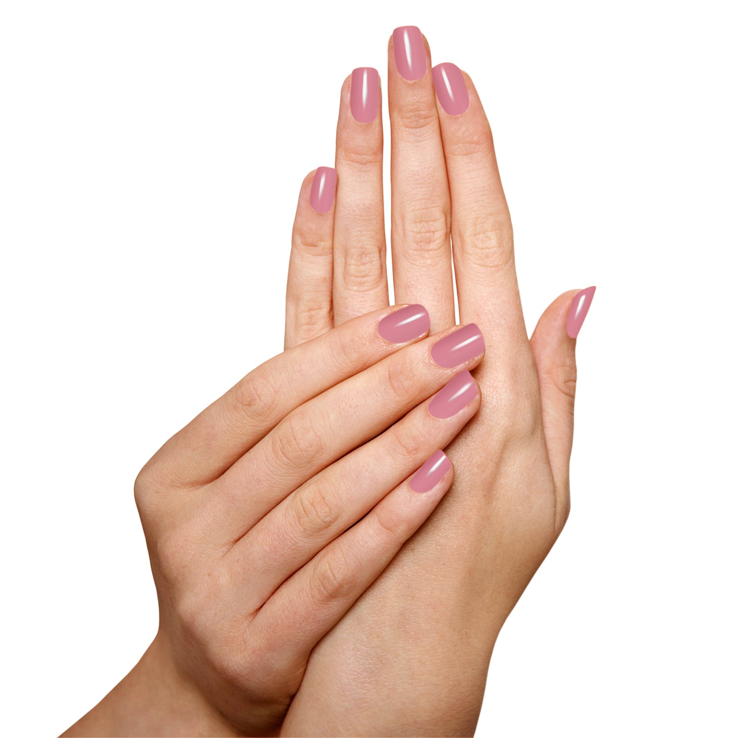 Mi Amore - Blushing Neutral Pink