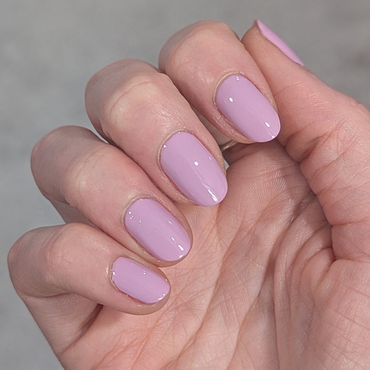 Soft Launch - Soft Lavender with Pink
