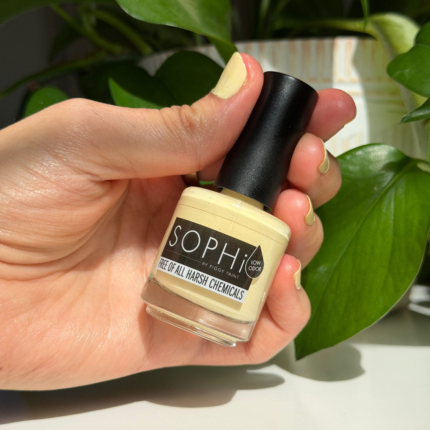Morning Glow - Pale Soft Yellow